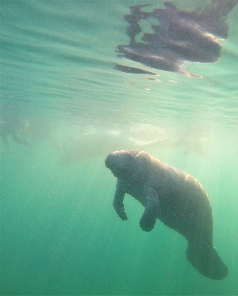 DCIM100GOPROGOPR2921.