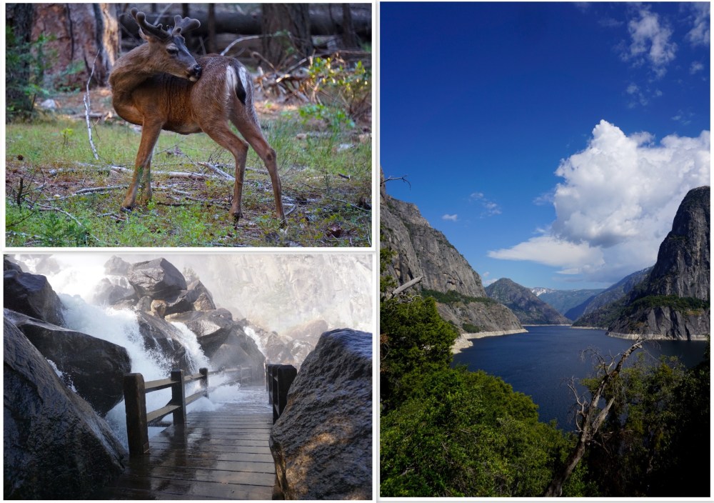 Collage created using TurboCollage software from www.TurboCollage.com