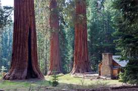 Mariposa Grove Museum