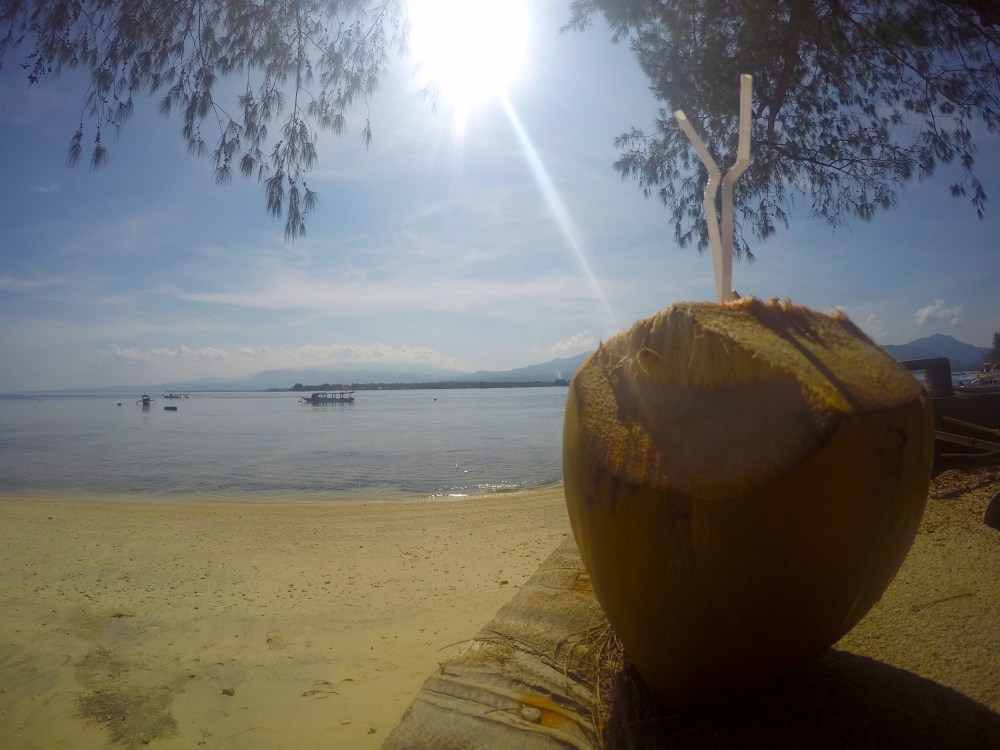 DCIM100GOPROGOPR0482.