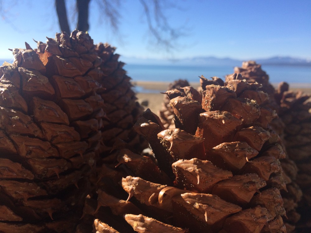 Foto 05.11.16, 10 56 47