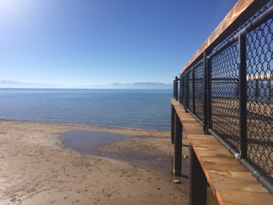 UNADJUSTEDNONRAW_thumb_3e8