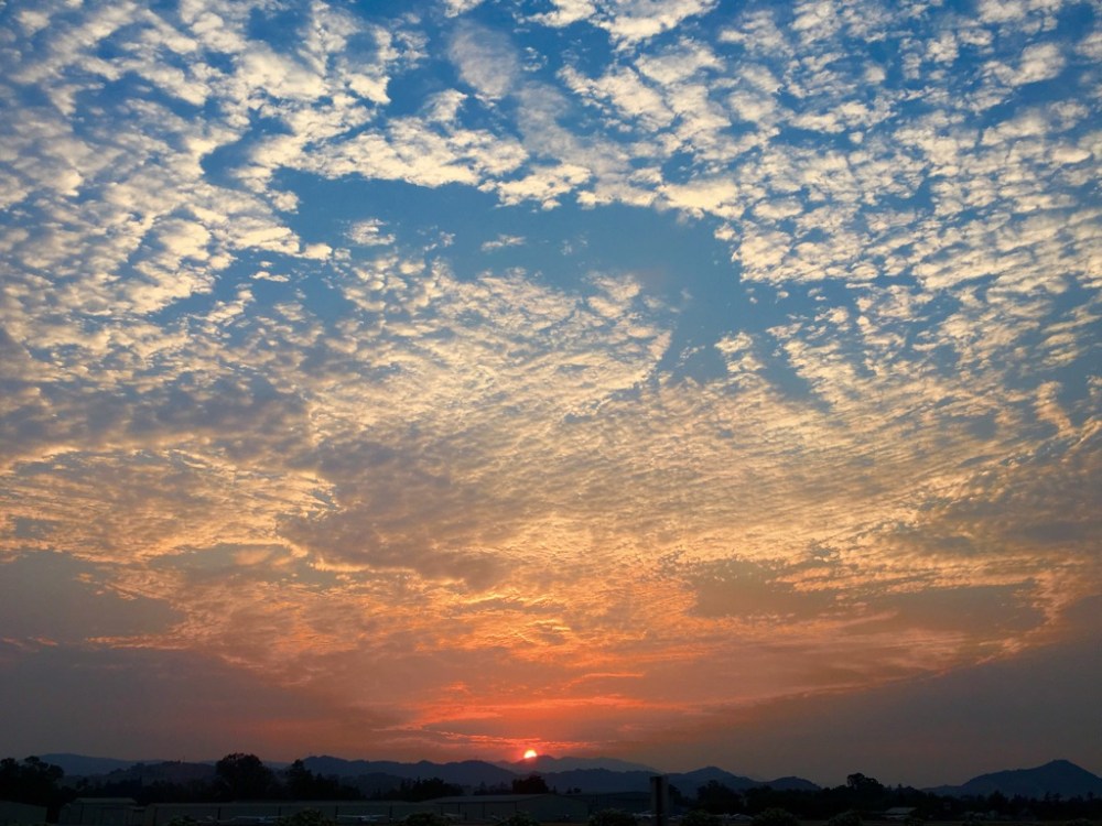 FUg2iqouT+SyMFbHcxLpHg_thumb_248f