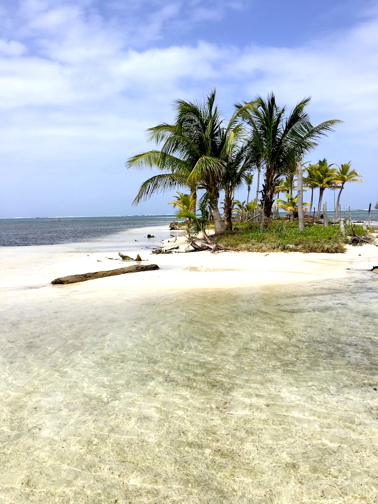 UNADJUSTEDNONRAW_thumb_333c