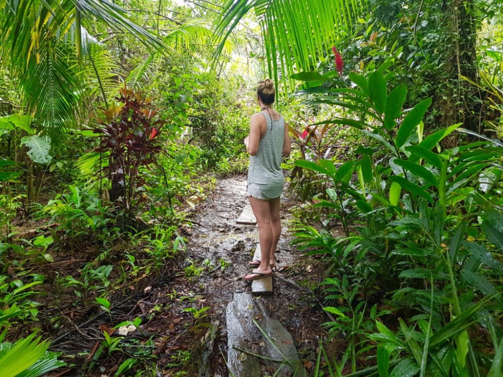 ZTGu3Bi7RrSZ8u1KHXsriw_thumb_3395