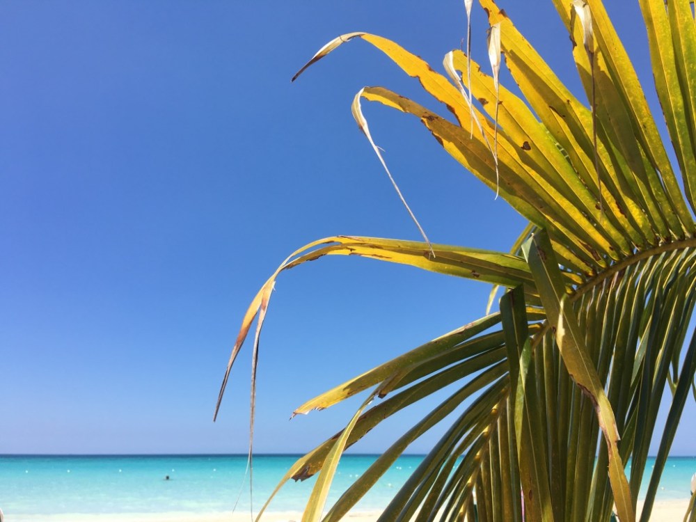 UNADJUSTEDNONRAW_thumb_365c