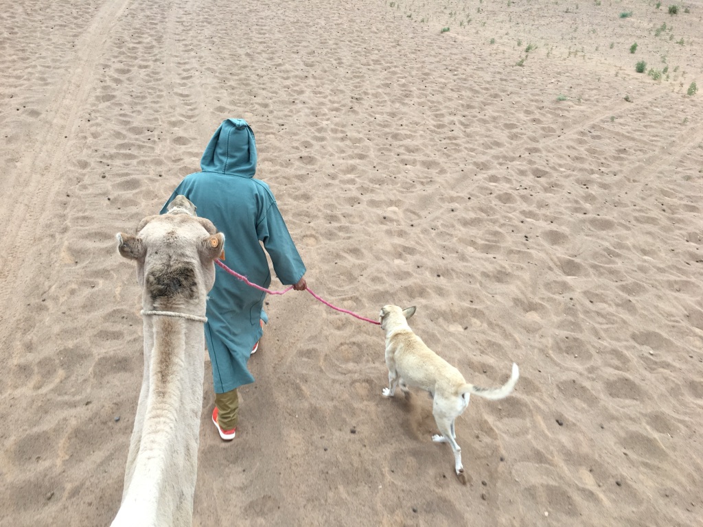 UNADJUSTEDNONRAW_thumb_4b5b