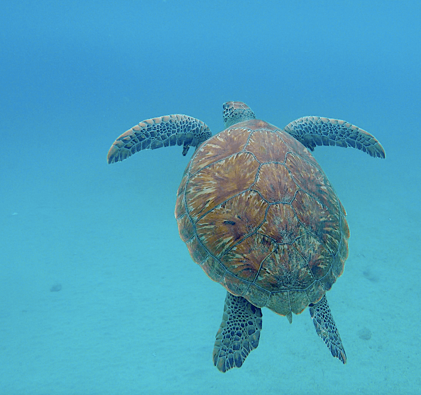 Bildschirmfoto 2019-04-15 um 01.12.54