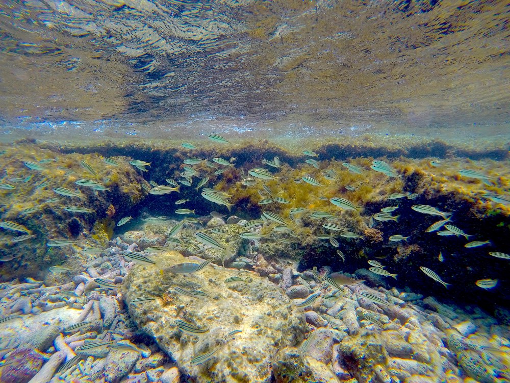 DCIM100GOPROGOPR3860.