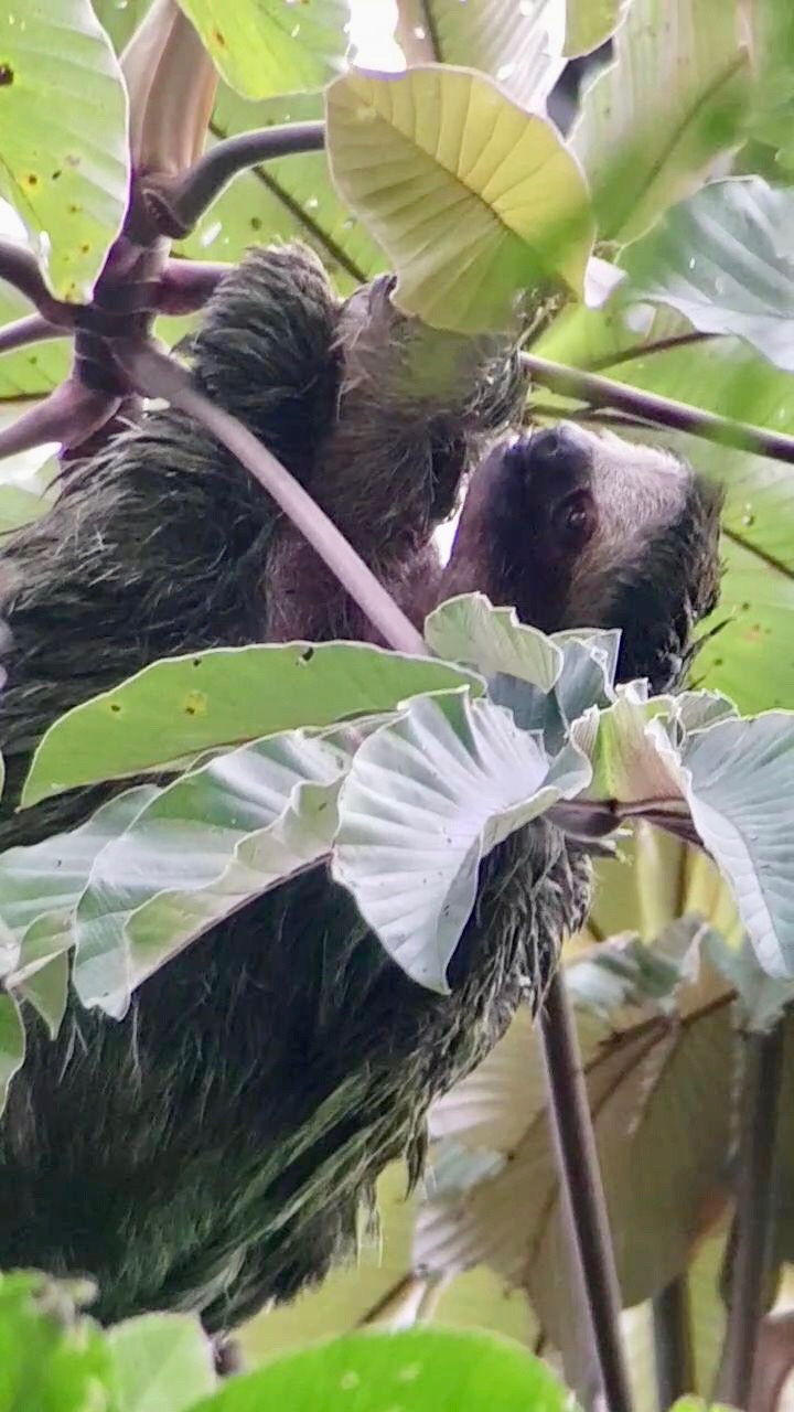 32b9df96-54ac-4d0d-88db-17e00b5b35fe