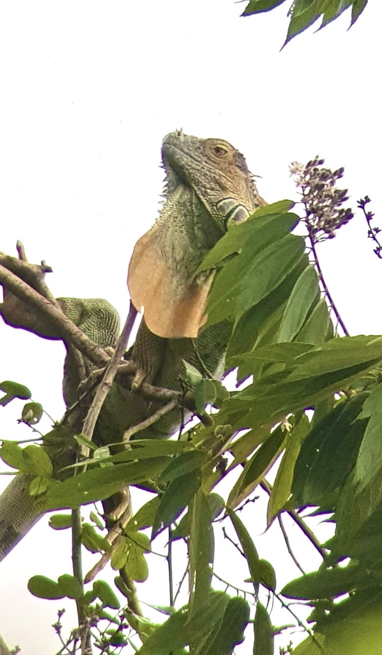 482b4233-6d24-4270-885b-14a67e5055c0