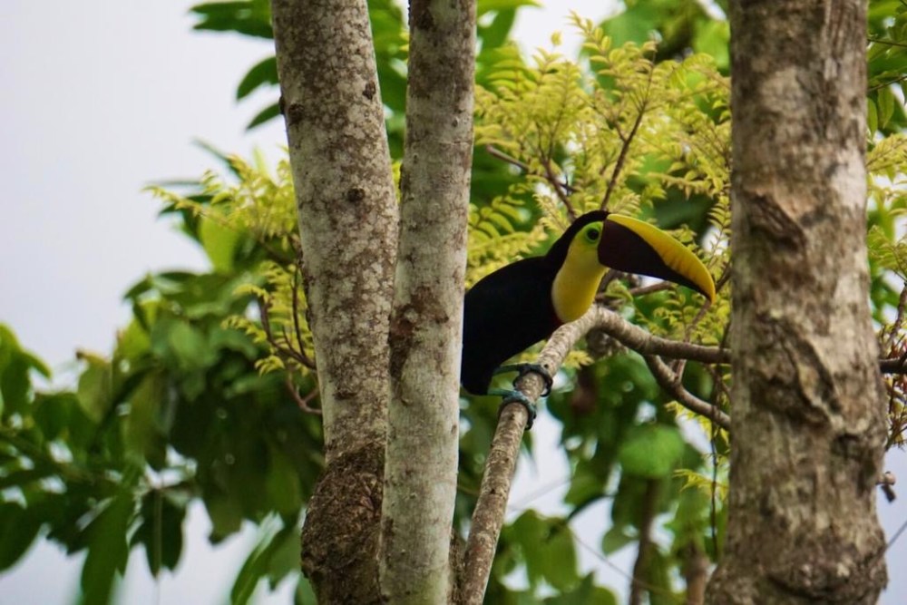 72afbd13-4ec6-4d13-8d99-1a32d38ebb74