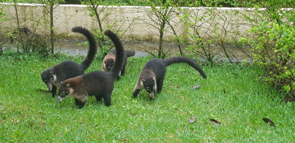 15ee038d-d071-4e4d-9f8c-f602a517be93