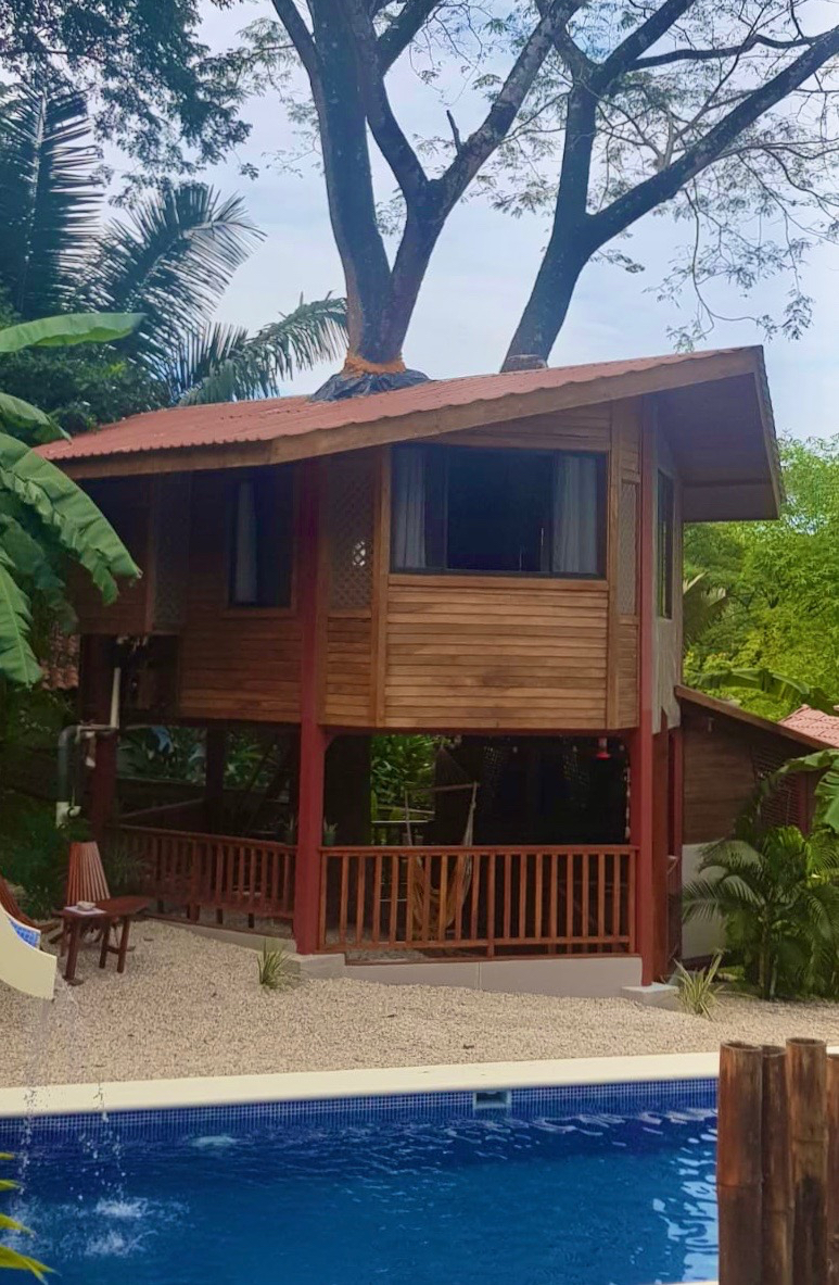 b5c17071-3da5-4192-bbc0-db08134c7355