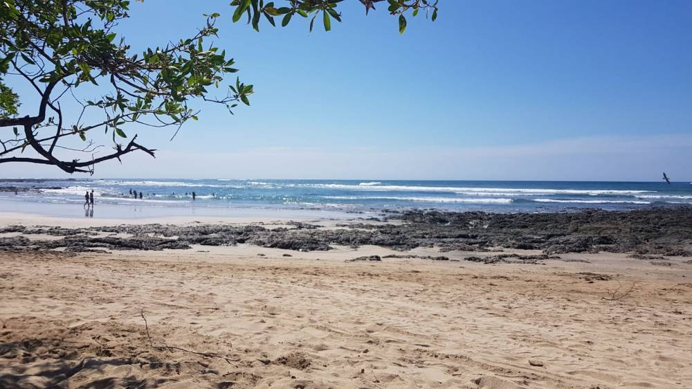 f469919d-db97-4c24-b4ea-4865d8f3fcfc