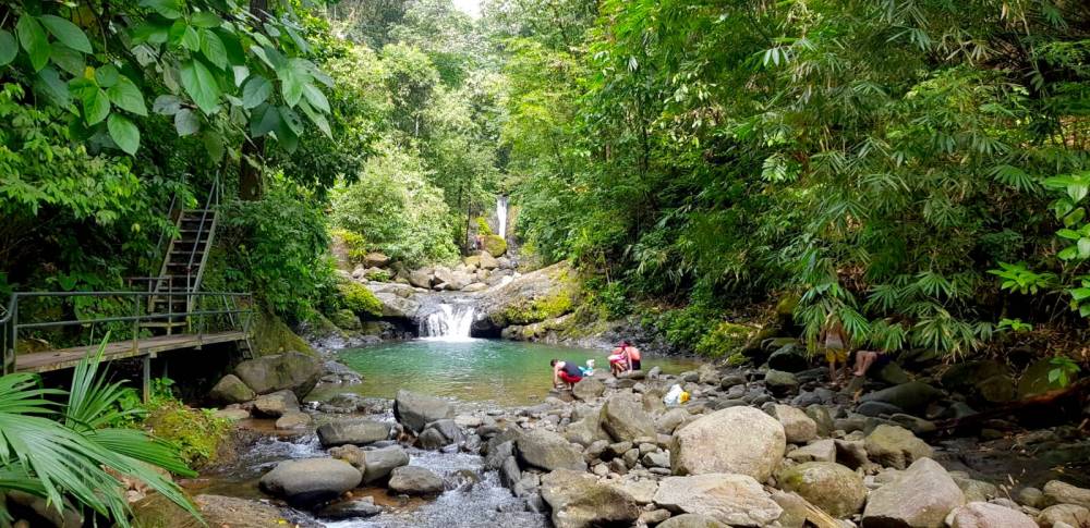 WhatsApp Image 2020-01-05 at 04.25.50